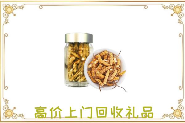 五指周边回收虫草